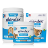 305126 Glandex Soft Chew 240 g (60 treats)