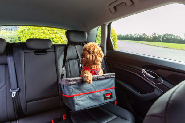 305133 KONG Ultimate Booster Seat & Tether