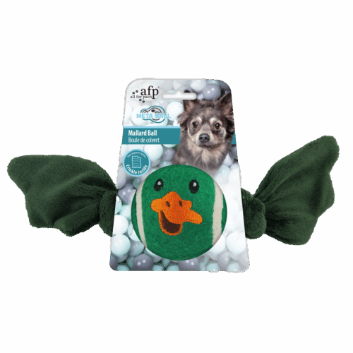 305159 AFP Meta Ball - Mallard Ball