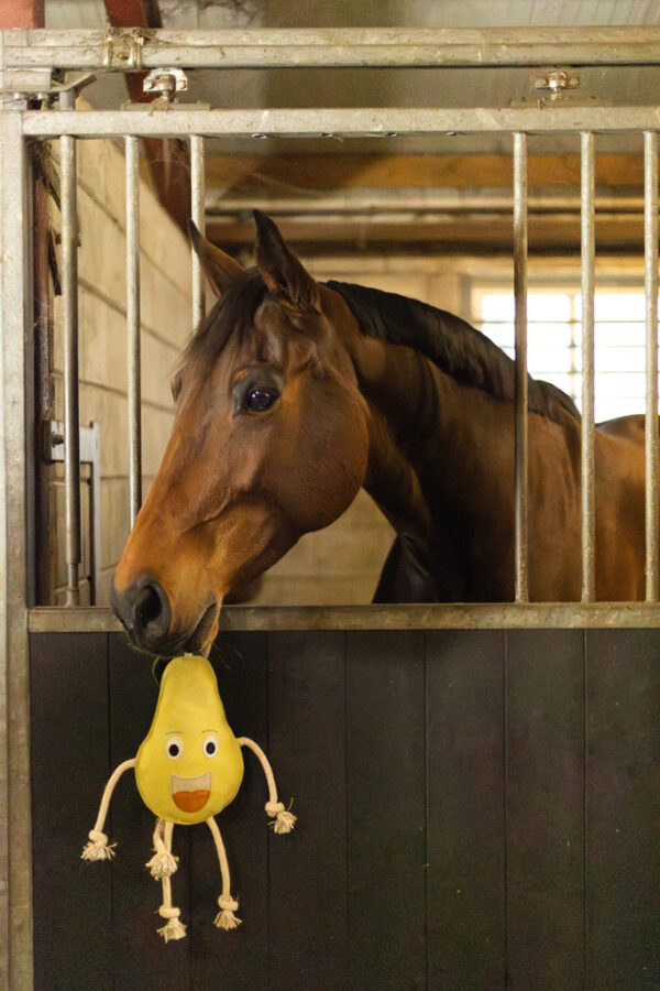 305332 Excellent Horse Foodie Friends Apple