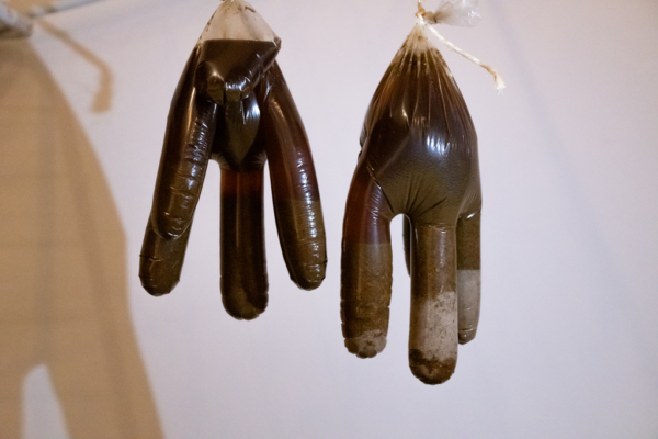 Excellent Horse Psyllium Plus 1,2 kg