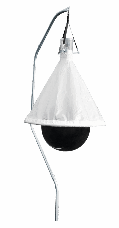 Dazenval TaonX compleet