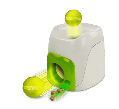 AFP Interactive Fetch'N Treat