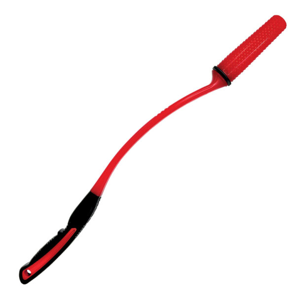 305571 KONG Signature Throw Md/Lg EU