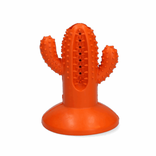 AFP Dental Chews-Cactus Medium Rubber Orange