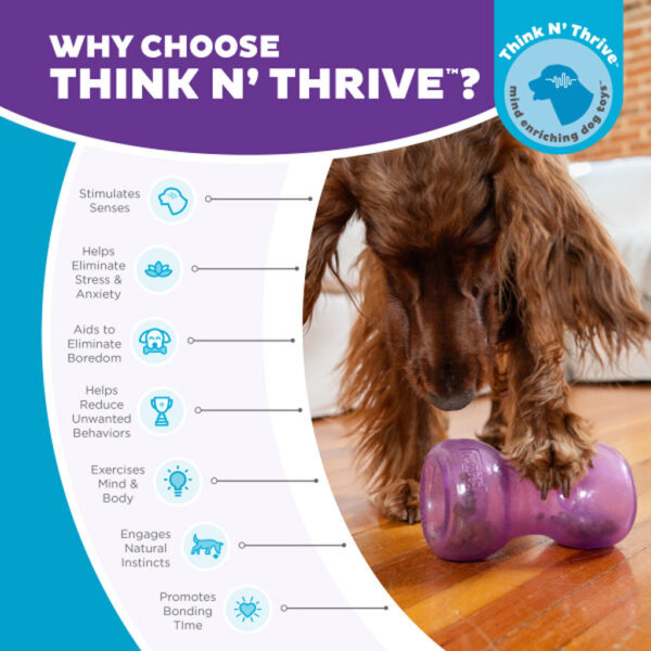 305607 Outward Hound Double Snoop Purple Planet Dog