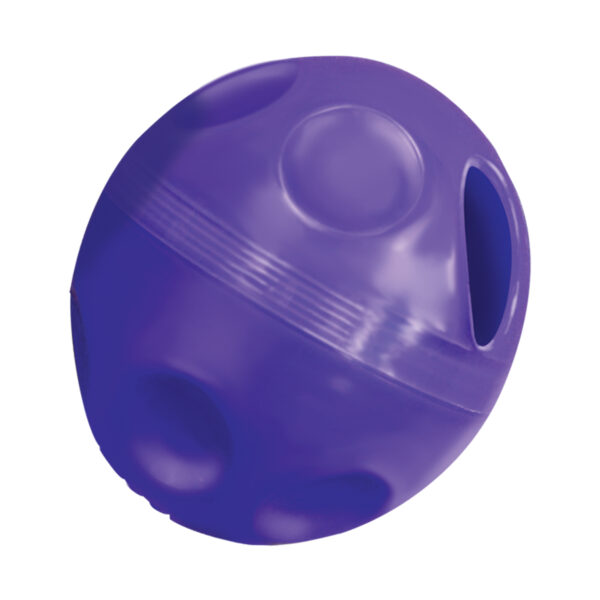 305747 KONG Cat Treat Ball