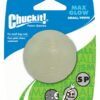 305958 Chuckit Max Glow Small 1-Pack