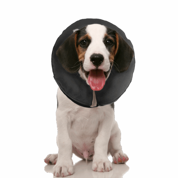 Zenpet ProCollar Honden- Kattenkraag XS