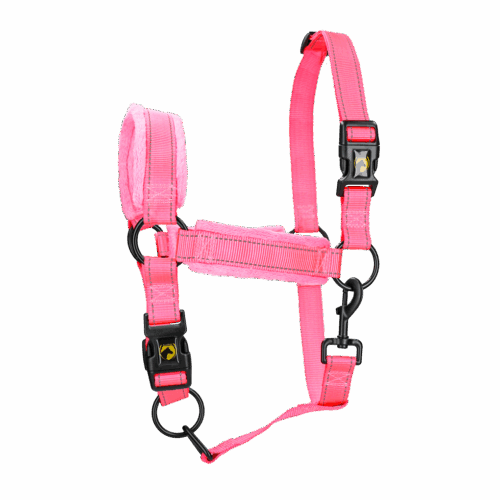 Excellent Horse Superior Halster XL Full Roze