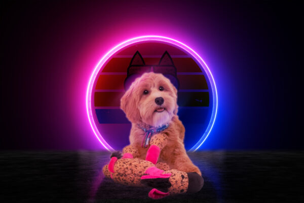 306178 Retrodog Donkey Pink M