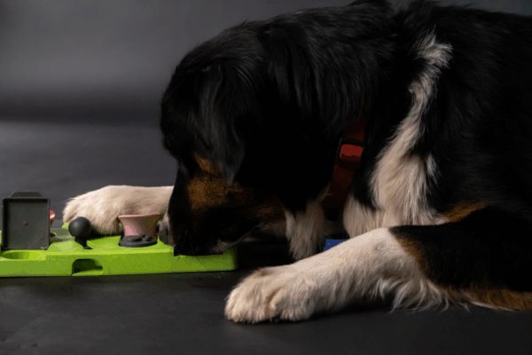 306180 Eat Slow Live Longer Puzzle Triangle