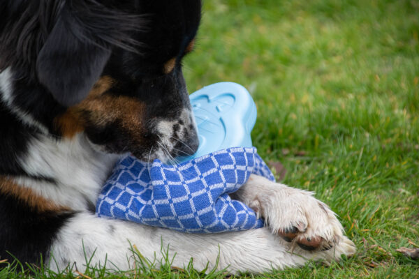 306266 CoolPets Cooling Ice Penguin