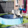 306338 CoolPets Zwembad 80x20