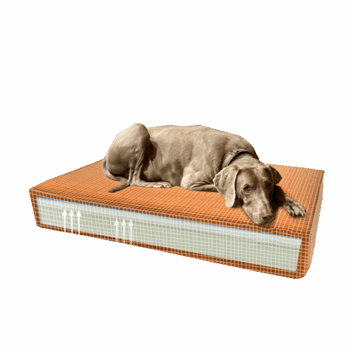 306472 Madison Orthopedisch kussen Velvet oranje S