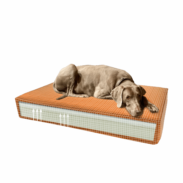 Madison Orthopedisch kussen Velvet oranje S