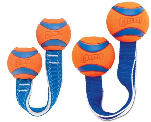 306493 Chuckit Ultra Duo Tug S 5 cm