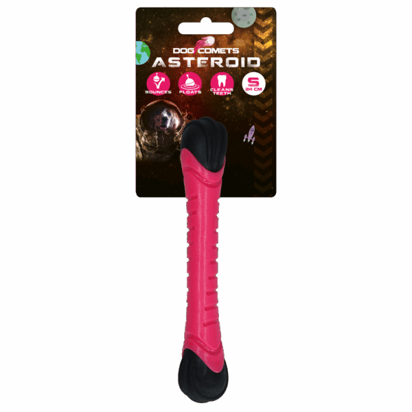 306524 Dog Comets Asteroid Pink S