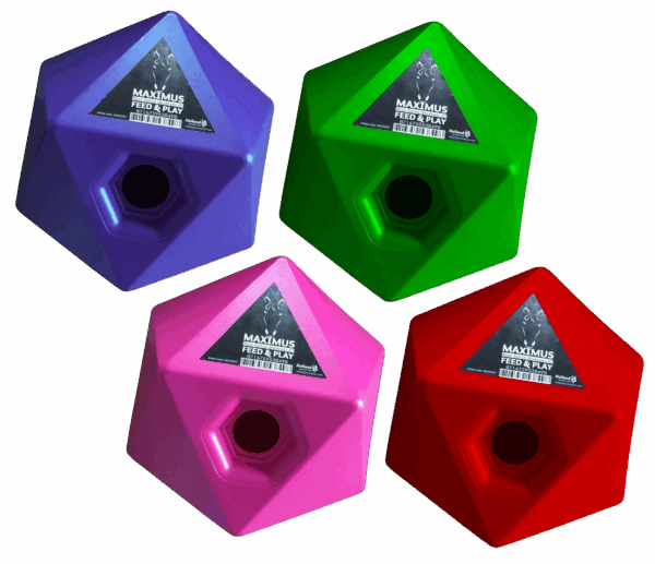 306527 Maximus Feed & Play roze