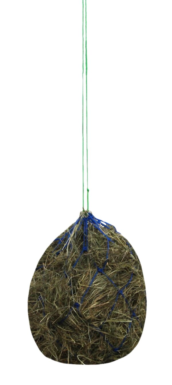 306628 Hooinet Paard Classic