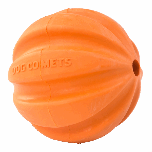 306651 Dog Comets Ball Meteorite Oranje
