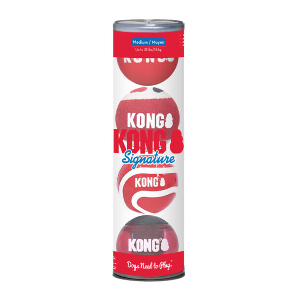 306691 KONG Signature Balls 4-pk Assorted Md