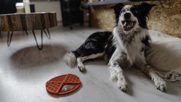 306862 Eat Slow Live Longer Lick Mat Dimensions Circle Red