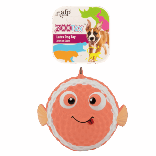 AFP Bouncy Clown fish