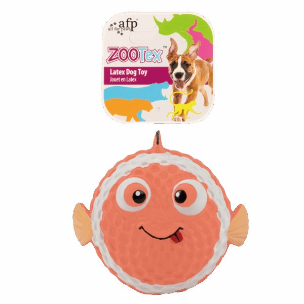 AFP Bouncy Clown fish