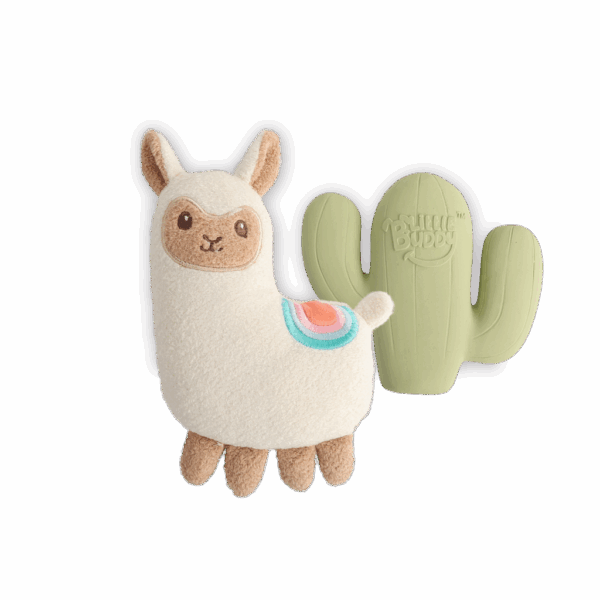 306869 AFP Little Buddy Fiesta 2 pk Toy