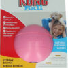 KONG Puppy Ball w/Hole Small