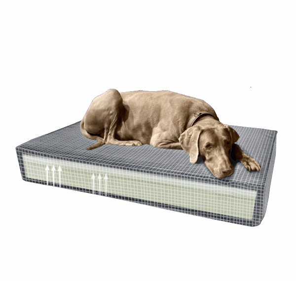 Madison Orthopedisch kussen Velvet geel S