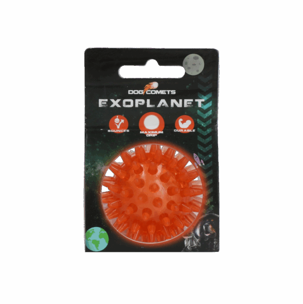 307172 Dog Comets Exoplanet Orange S
