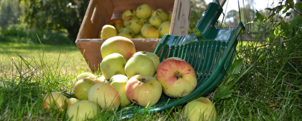 307177 Mestvork kunststof zwart zonder steel