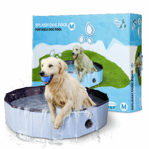 CoolPets Zwembad 100x25