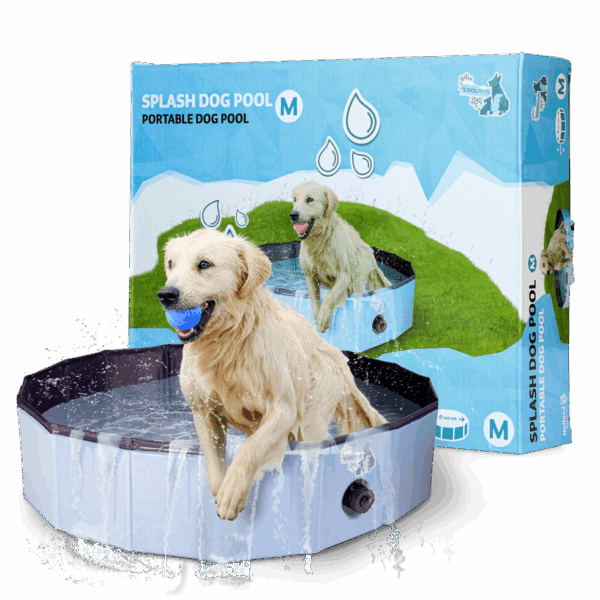 307181 CoolPets Zwembad 100x25
