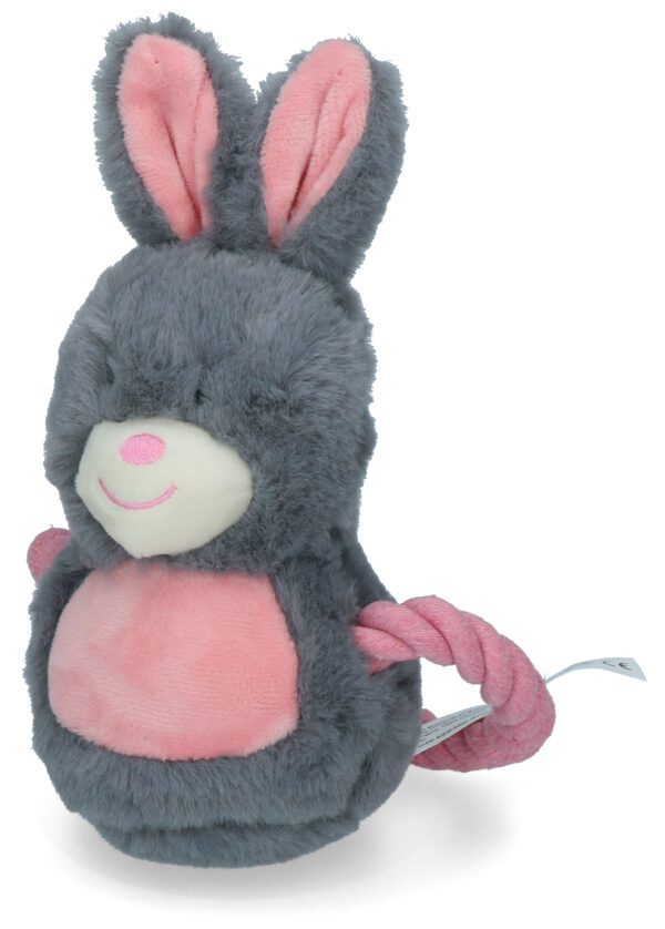 307311 Bunny Puppy Ropey Swing