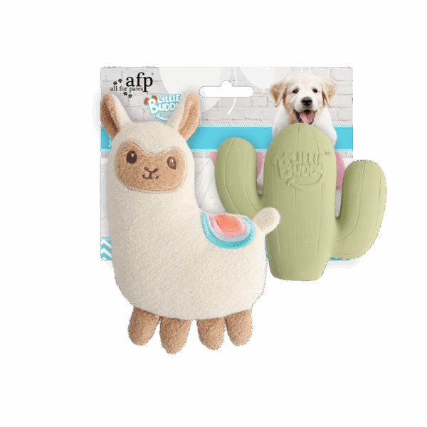 307551 AFP Little Buddy Fiesta 2 pk Toy