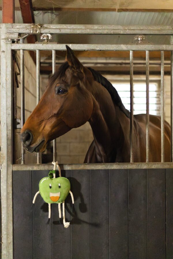 307623 Excellent Horse Foodie Friends Apple
