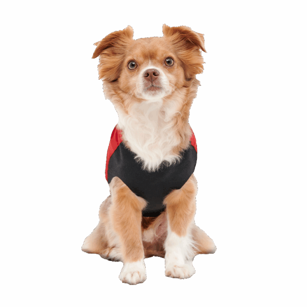 307632 Gooeez Mock Neck Signature Jacket 2XS Red/Black