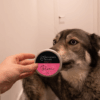 Groomers Secret Shampoo bar Rose