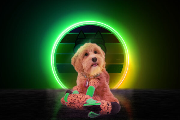 307735 Retrodog Donkey Green M