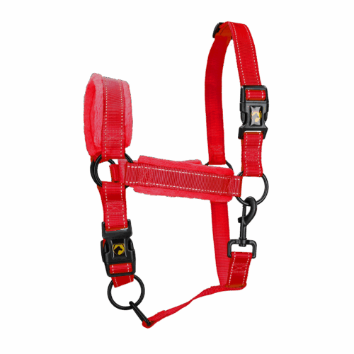 Excellent Horse Superior Halster L Cob Rood