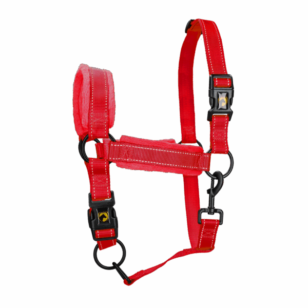Excellent Horse Superior Halster L Cob Rood