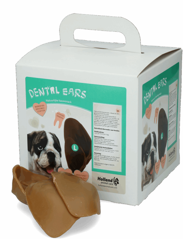 Dental Ears Large 24st