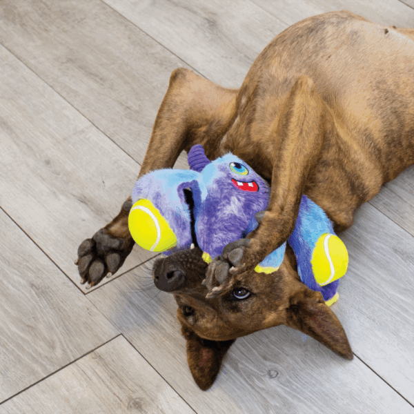 KONG Woozles Monster Assorted Md