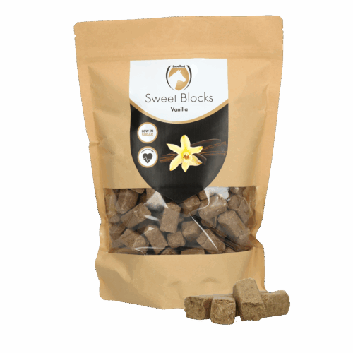Sweet Vanilla Blocks