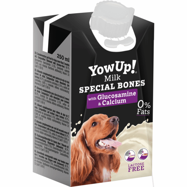 308121 YowUp Milk Special Bones Dog