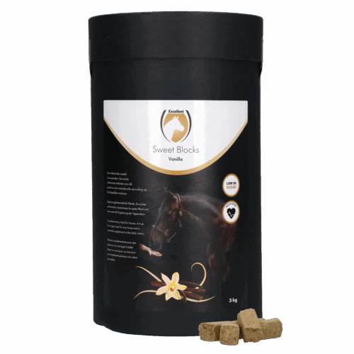 Sweet Vanilla Blocks