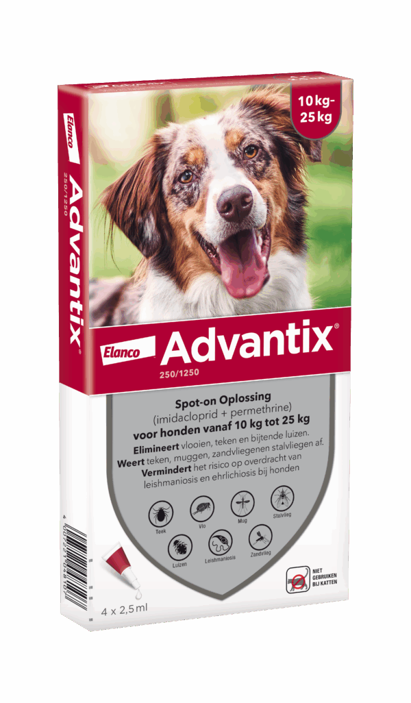 308213 Advantix 250/1250 Hond (10 tot 25kg) 4P